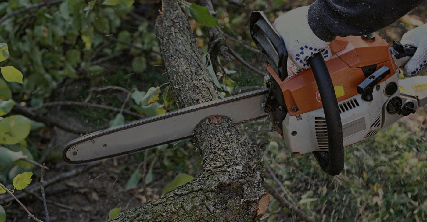 Ackerman Tree Service is a Tree Removal Company in Cedar Rapids, IA 52402